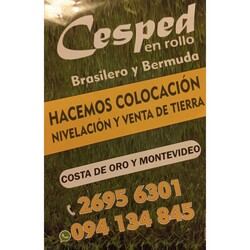 CESPED EN ROLLO 