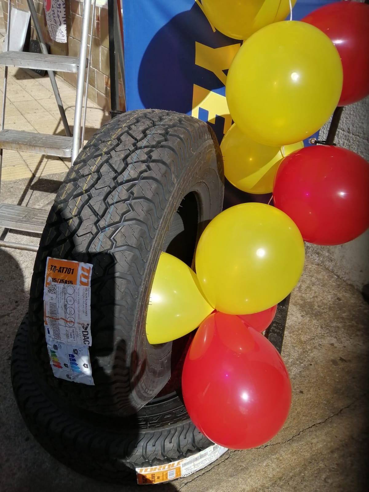 DEL SUR ALINEACIONES  