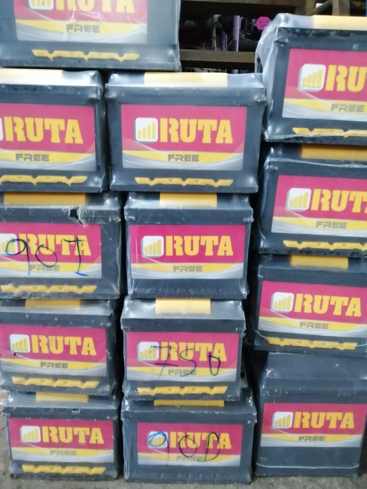 DEL SUR ALINEACIONES  