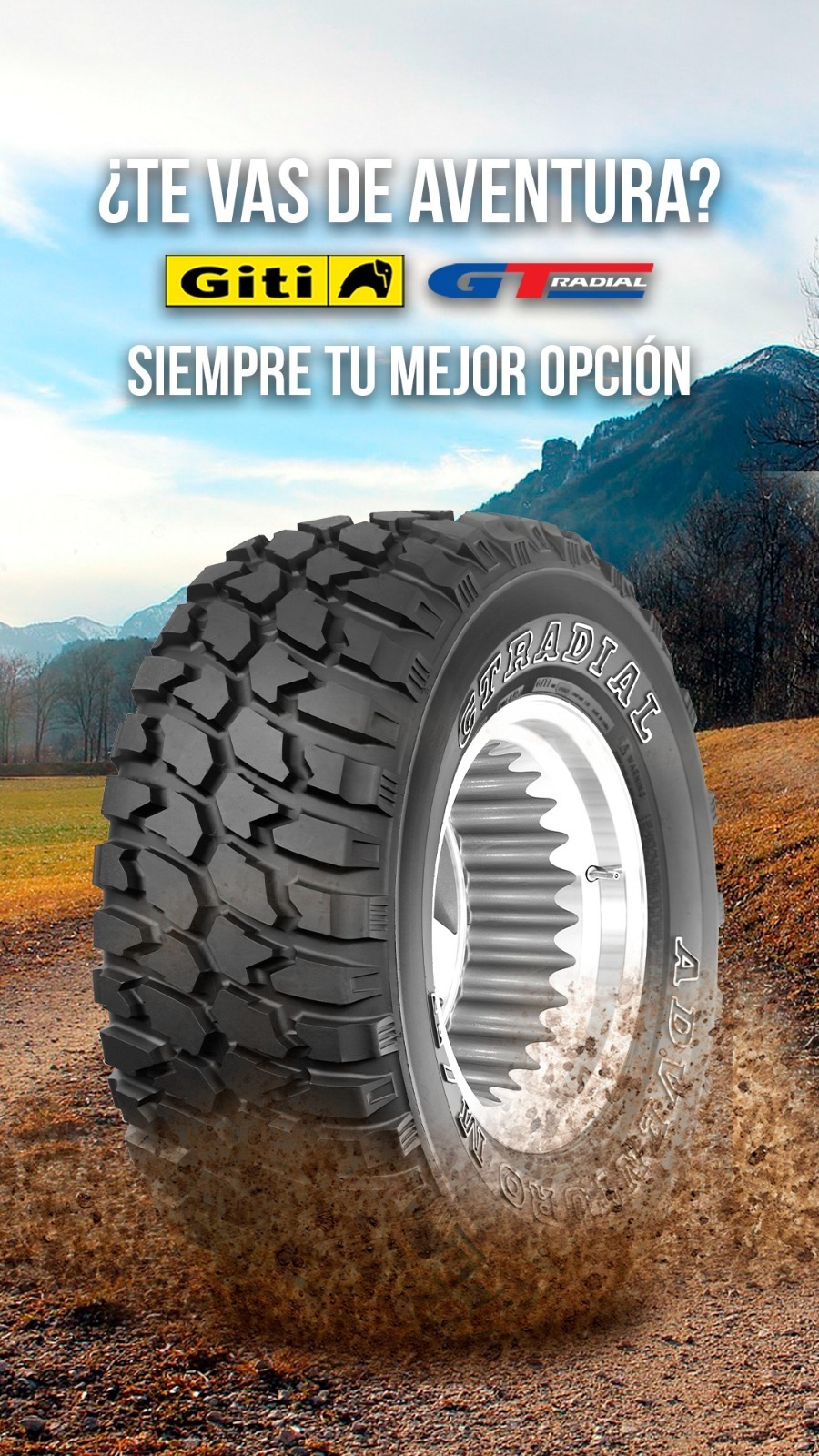 DEL SUR ALINEACIONES  