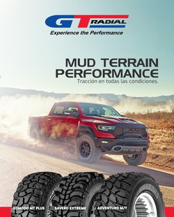 DEL SUR ALINEACIONES 