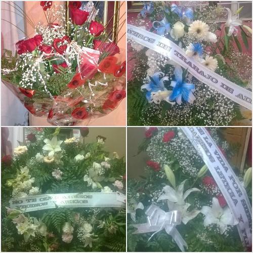 TODO LO QUE TIENE PARA OFRECERTE FLORERIA AZUCENA FLORERIA AZUCENA