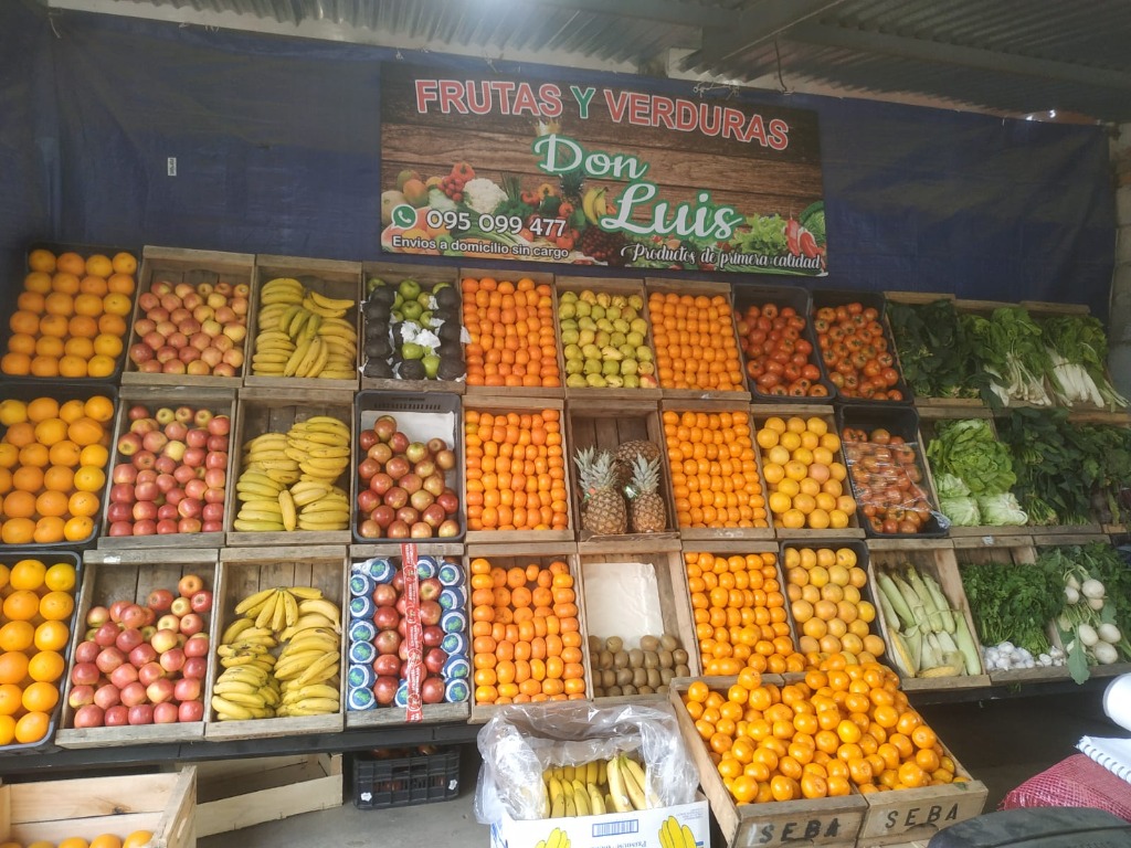 FRUTAS Y VERDURAS DON LUIS  