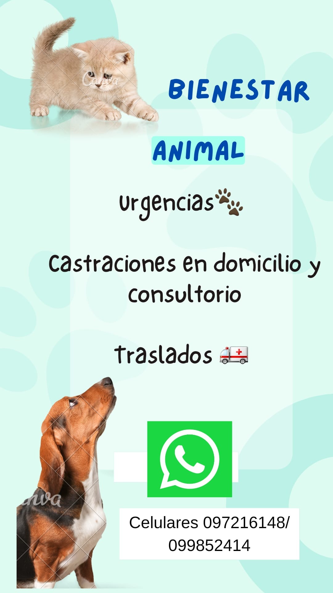 Serivice Pets Bienestar animal  Castraciines en domicilio y consultorio 
Agendate 