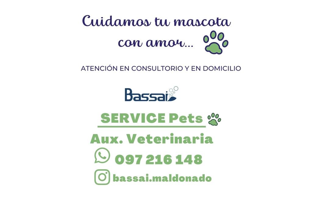 Serivice Pets Traslados  Servicios  de traslados .y urgencias a tu mascota