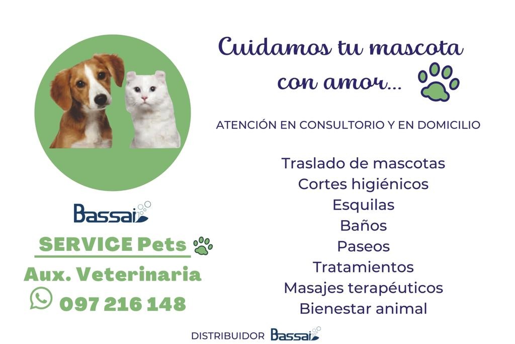 Serivice Pets  Consulta con nuestra  agenda y podemos  brindarte 