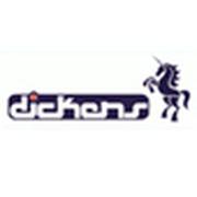 DICKENS PUNTA GORDA