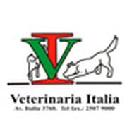 VETERINARIA ITALIA