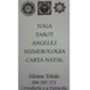 MARIA SILVANA TOLEDO