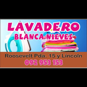 LAVADERO BLANCANIEVES