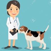 AGROVETERINARIA FRIENDS