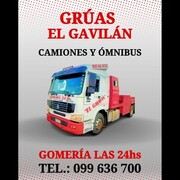 GRUAS EL GAVILAN
