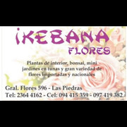 FLORERIA IKEBANA