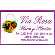 VIA ROSA