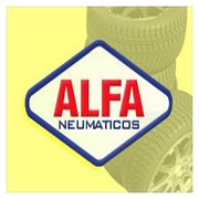 ALFA NEUMATICOS