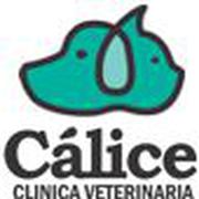 VETERINARIA CALICE