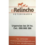 EL RELINCHO