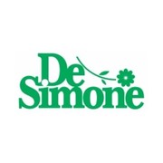 EMPRESA DE SIMONE