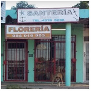 SANTERIA Y FLORERIA SALINAS