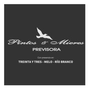 PINTOS Y MIERES