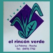 EL RINCON VERDE