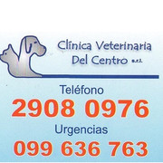CLINICA VETERINARIA DEL CENTRO