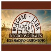MACHAO NECOCIOS RURALES