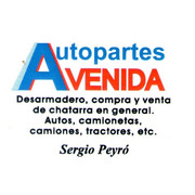 AUTOPARTES AVENIDA