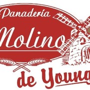 EL MOLINO DE YOUNG