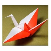 ORIGAMI LIBROS
