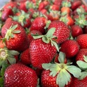 DISTRIBUIDORA DICKINSON