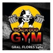 GIMNASIO BLACK DOG