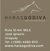 HARAS GODIVA
