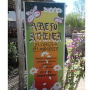 VIVERO ATHENEA