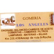Gomeria La Nueva