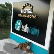 Hotel Estilo Canino