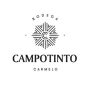 BODEGA & POSADA CAMPOTINTO