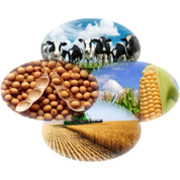 LEMA INSUMOS AGROPECUARIOS