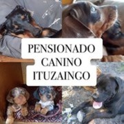 PENSIONADO CANINO ITUZAINGO