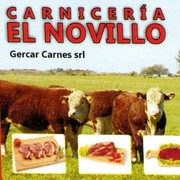 CARNICERIA EL NOVILLO