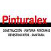 PINTURALEX