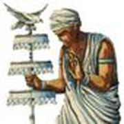 MAE ALICE DE OXALA VIEJO