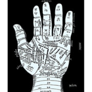 PROFESOR CHARLY TAROT