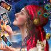 TAROTISTA ILE DOS VENTOS