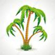 LA PALMERA FERRETERIA