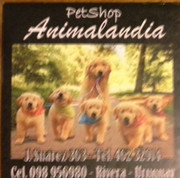 ANIMALANDIA PET SHOP