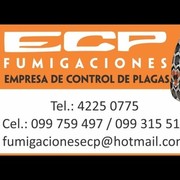 ECP FUMIGACIONES - CONTROL DE PLAGAS