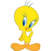 AVICOLA PIOLIN