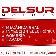 DELSUR MOTORS