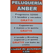 ANBER